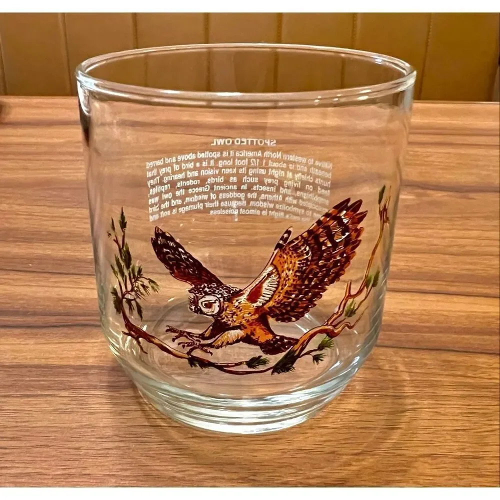 Vintage Sunoco North American Wildlife Glass Libbey Spotted Owl